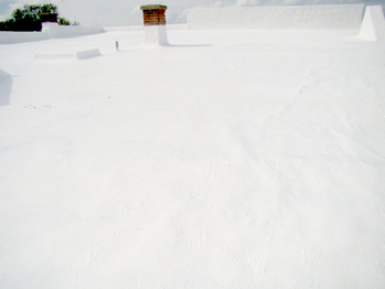roof coating in dallas tx