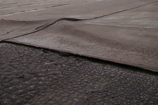 roof coating in dallas tx