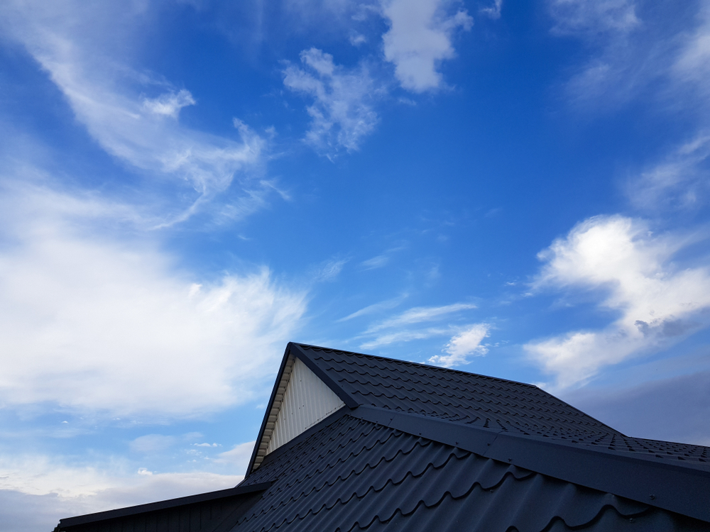 Metal Roofing