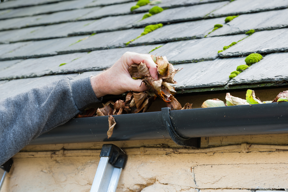 Commercial Roof Maintenance