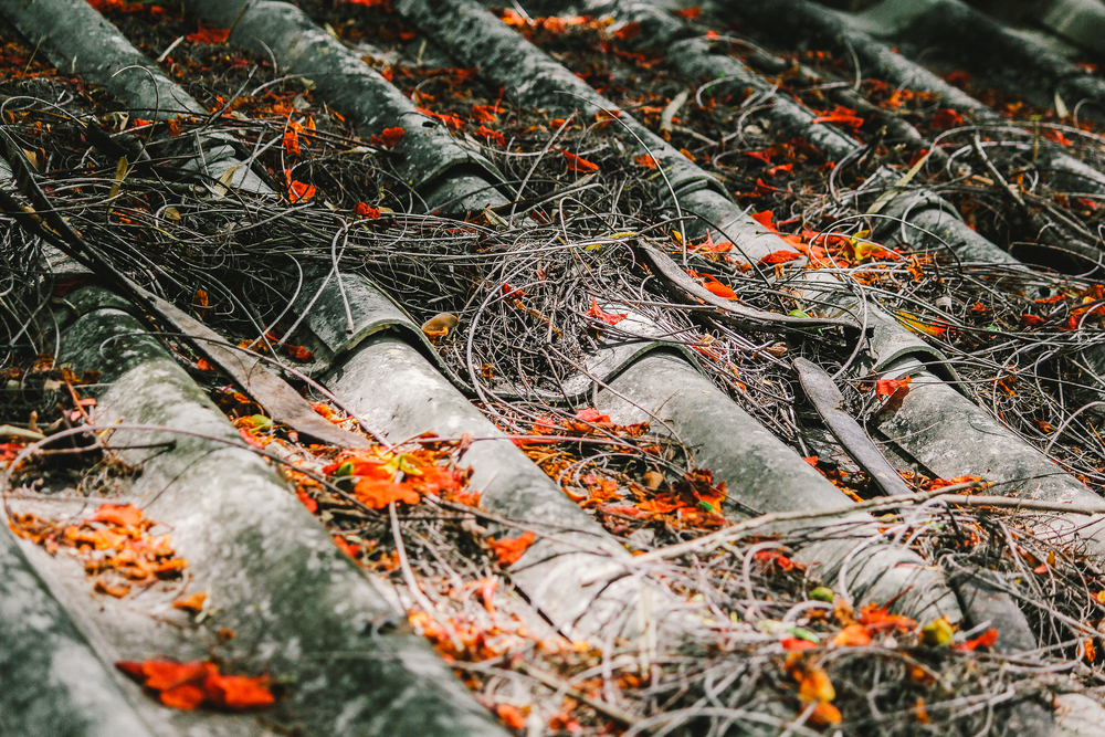 Fall Roof Replacement