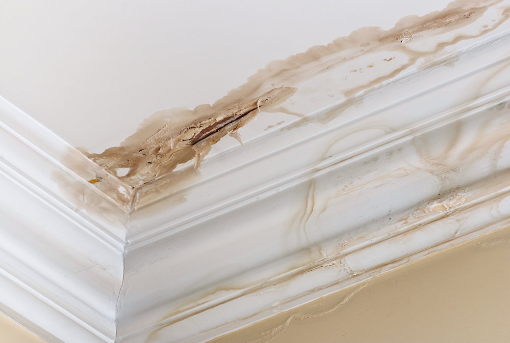 Identify a Roof Leak