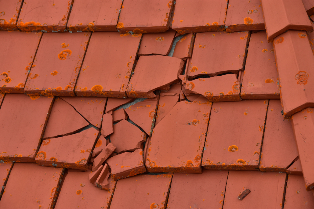 Commercial Roof Nightmares