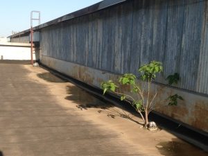 roof-maintenance-fort-worth-TX-Texas-1
